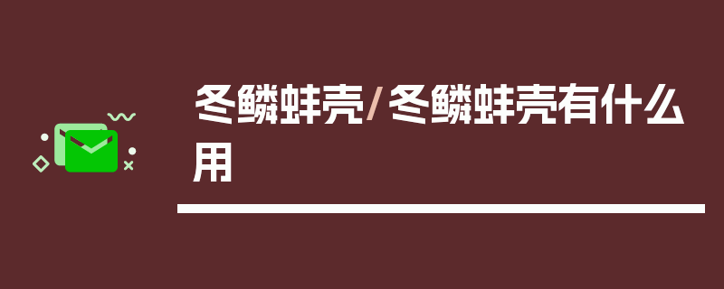 冬鳞蚌壳/冬鳞蚌壳有什么用