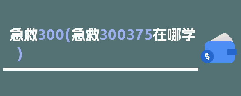 急救300(急救300375在哪学)