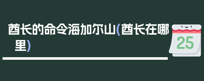 酋长的命令海加尔山(酋长在哪里)