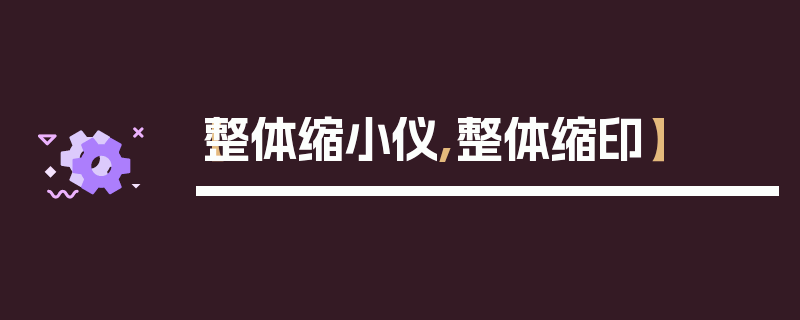 【整体缩小仪,整体缩印】