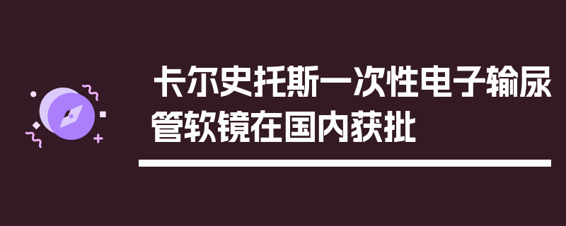 卡尔史托斯一次性电子输尿管软镜在国内获批