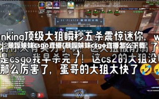 暴躁妹妹csgo直播(暴躁妹妹csgo直播怎么下载)