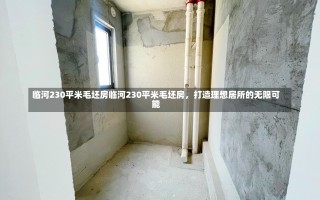 临河230平米毛坯房临河230平米毛坯房，打造理想居所的无限可能