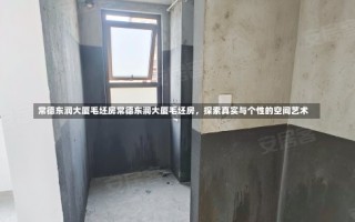 常德东润大厦毛坯房常德东润大厦毛坯房，探索真实与个性的空间艺术