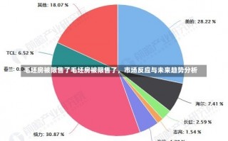 毛坯房被限售了毛坯房被限售了，市场反应与未来趋势分析