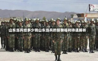 山东当兵给多少钱山东当兵的薪酬福利待遇解析