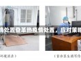 登革热疫情处置登革热疫情处置，应对策略与措施