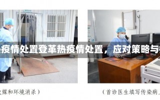 登革热疫情处置登革热疫情处置，应对策略与措施