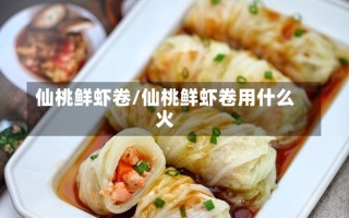 仙桃鲜虾卷/仙桃鲜虾卷用什么火