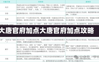 大唐官府加点大唐官府加点攻略