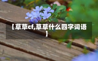 【草草cf,草草什么四字词语】