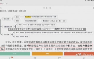 武汉理工大学王涛怎么样武汉理工大学王涛深度解析，一位卓越学者与领导者的风采