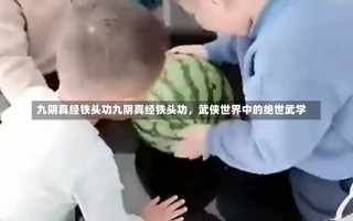 九阴真经铁头功九阴真经铁头功，武侠世界中的绝世武学