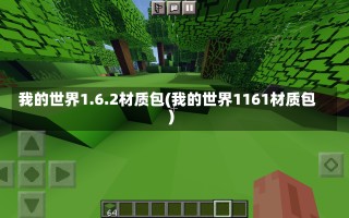 我的世界1.6.2材质包(我的世界1161材质包)