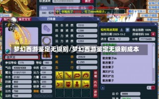 梦幻西游鉴定无级别/梦幻西游鉴定无级别成本