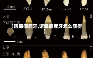 【诺森德鹿牙,诺森德鹿牙怎么获得】