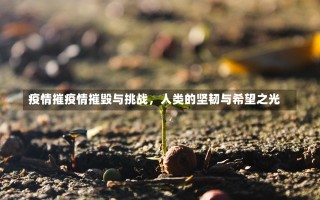 疫情摧疫情摧毁与挑战，人类的坚韧与希望之光