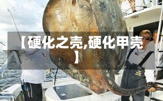 【硬化之壳,硬化甲壳】