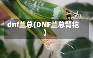 dnf兰总(DNF兰总臂铠)