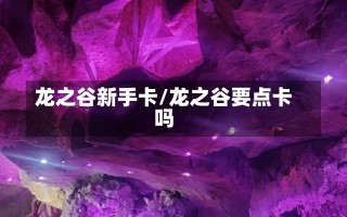 龙之谷新手卡/龙之谷要点卡吗