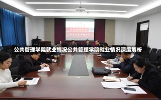 公共管理学院就业情况公共管理学院就业情况深度解析