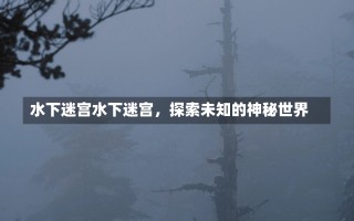 水下迷宫水下迷宫，探索未知的神秘世界