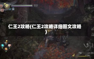 仁王2攻略(仁王2攻略详细图文攻略)