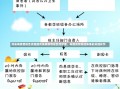 传染病疫情报告流程图传染病疫情报告流程图，构建高效防控体系的关键环节