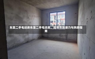 东至二手毛坯房东至二手毛坯房，探寻市场潜力与购房指南