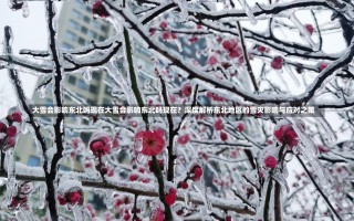 大雪会影响东北吗现在大雪会影响东北吗现在？深度解析东北地区的雪灾影响与应对之策