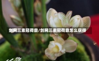 剑网三素冠荷鼎/剑网三素冠荷鼎怎么获得