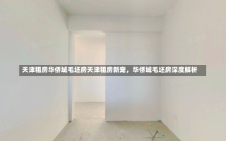 天津租房华侨城毛坯房天津租房新宠，华侨城毛坯房深度解析