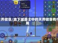 dnf天界徽章/地下城勇士中的天界徽章有什么用