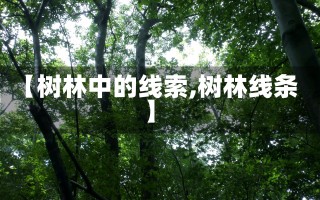 【树林中的线索,树林线条】