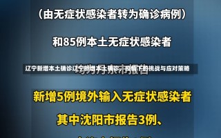 辽宁新增本土确诊辽宁新增本土确诊，疫情下的挑战与应对策略