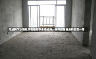 毛坯房下水道检测毛坯房下水道检测，保障居住品质的重要一环