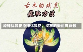 原神忧昙花原神忧昙花，绽放的美丽与哀愁