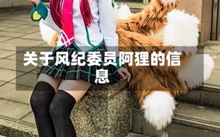 关于风纪委员阿狸的信息