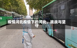 疫情河北疫情下的河北，挑战与坚守