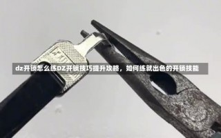 dz开锁怎么练DZ开锁技巧提升攻略，如何练就出色的开锁技能