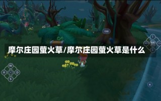 摩尔庄园萤火草/摩尔庄园萤火草是什么