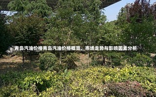 青岛汽油价格青岛汽油价格概览，市场走势与影响因素分析