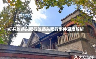 打开陈燕东限行陈燕东限行事件深度解析