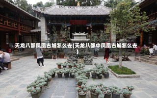 天龙八部凤凰古城怎么去(天龙八部中凤凰古城怎么去)