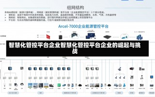 智慧化管控平台企业智慧化管控平台企业的崛起与挑战