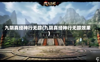 九阴真经神行无踪(九阴真经神行无踪效果)