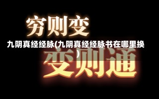 九阴真经经脉(九阴真经经脉书在哪里换)