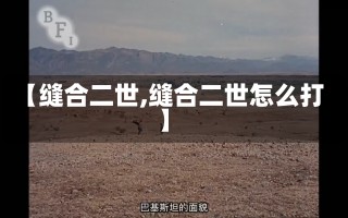 【缝合二世,缝合二世怎么打】