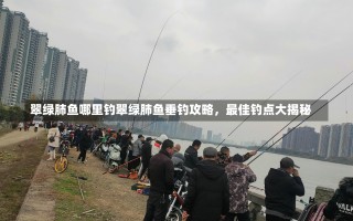 翠绿肺鱼哪里钓翠绿肺鱼垂钓攻略，最佳钓点大揭秘