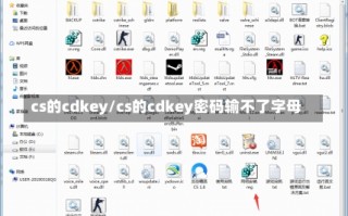 cs的cdkey/cs的cdkey密码输不了字母